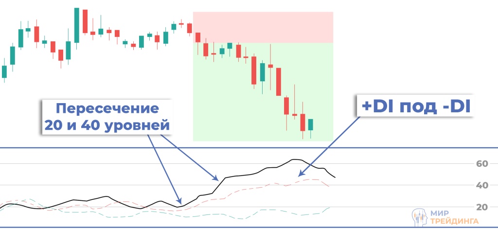 Медвежий сетап Медвежий