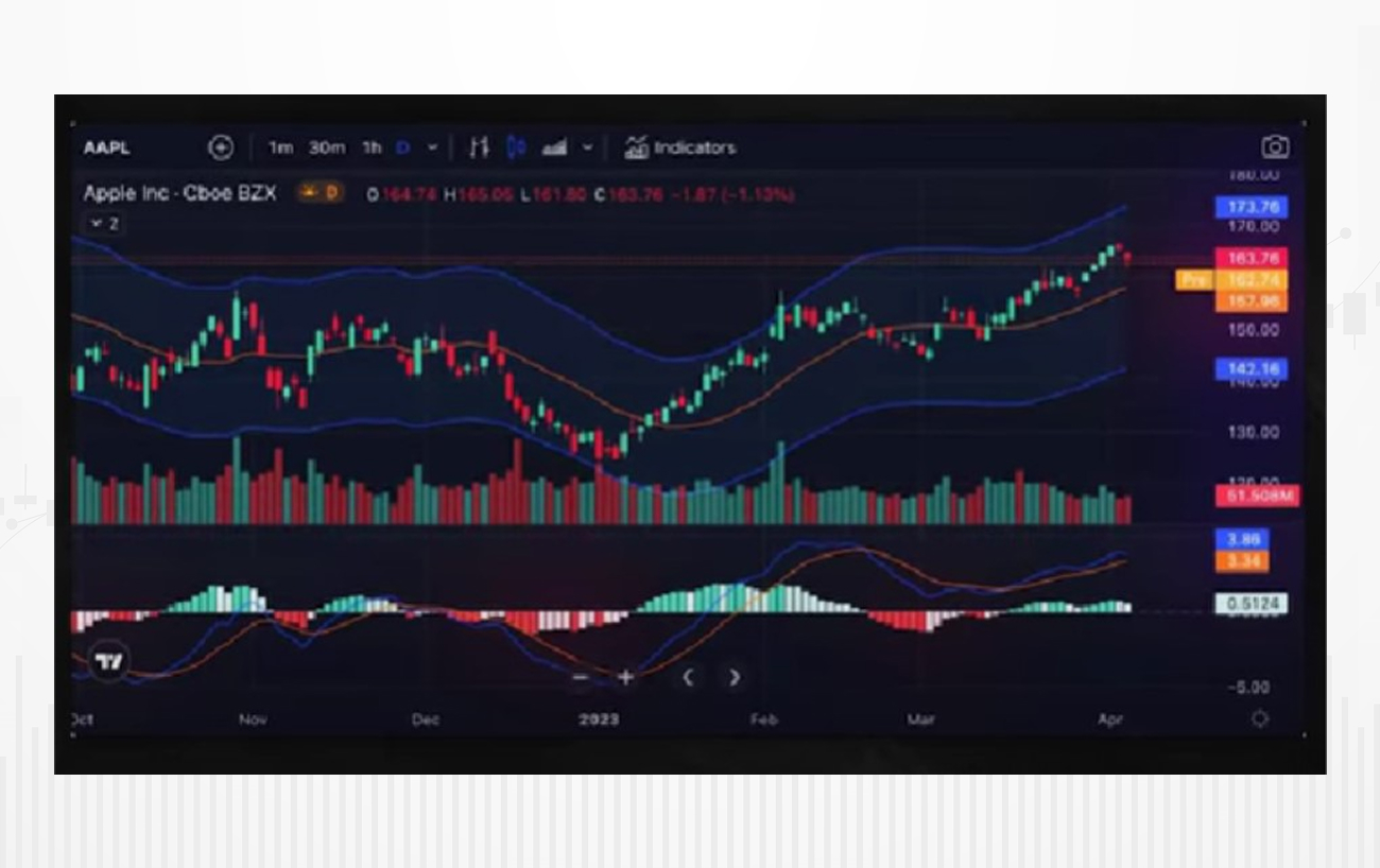 Изображение-3 (1).jpg