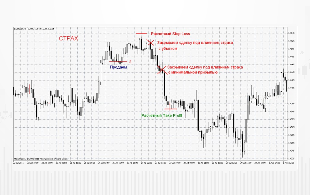 Изображение-1 (4) (1) (1).jpg