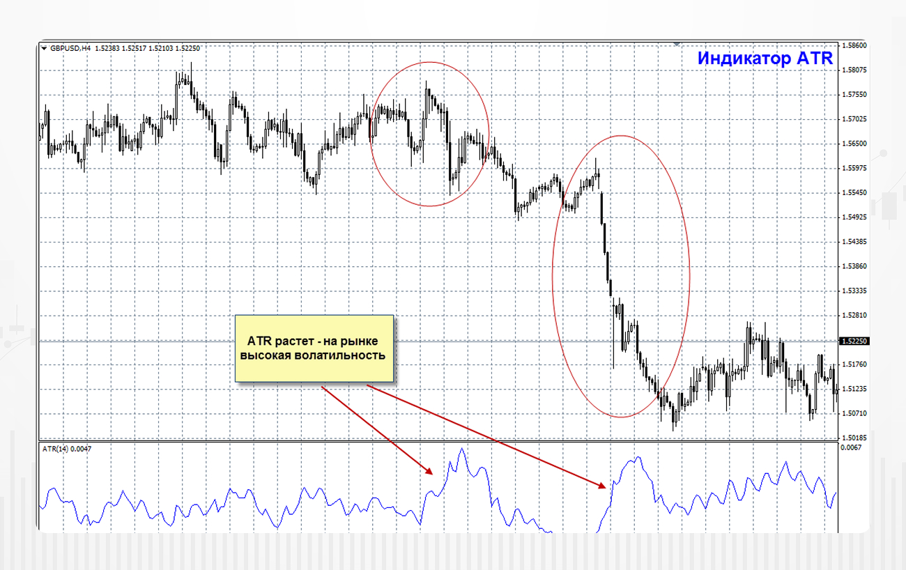 Изображение (4) (1) (1).jpg>