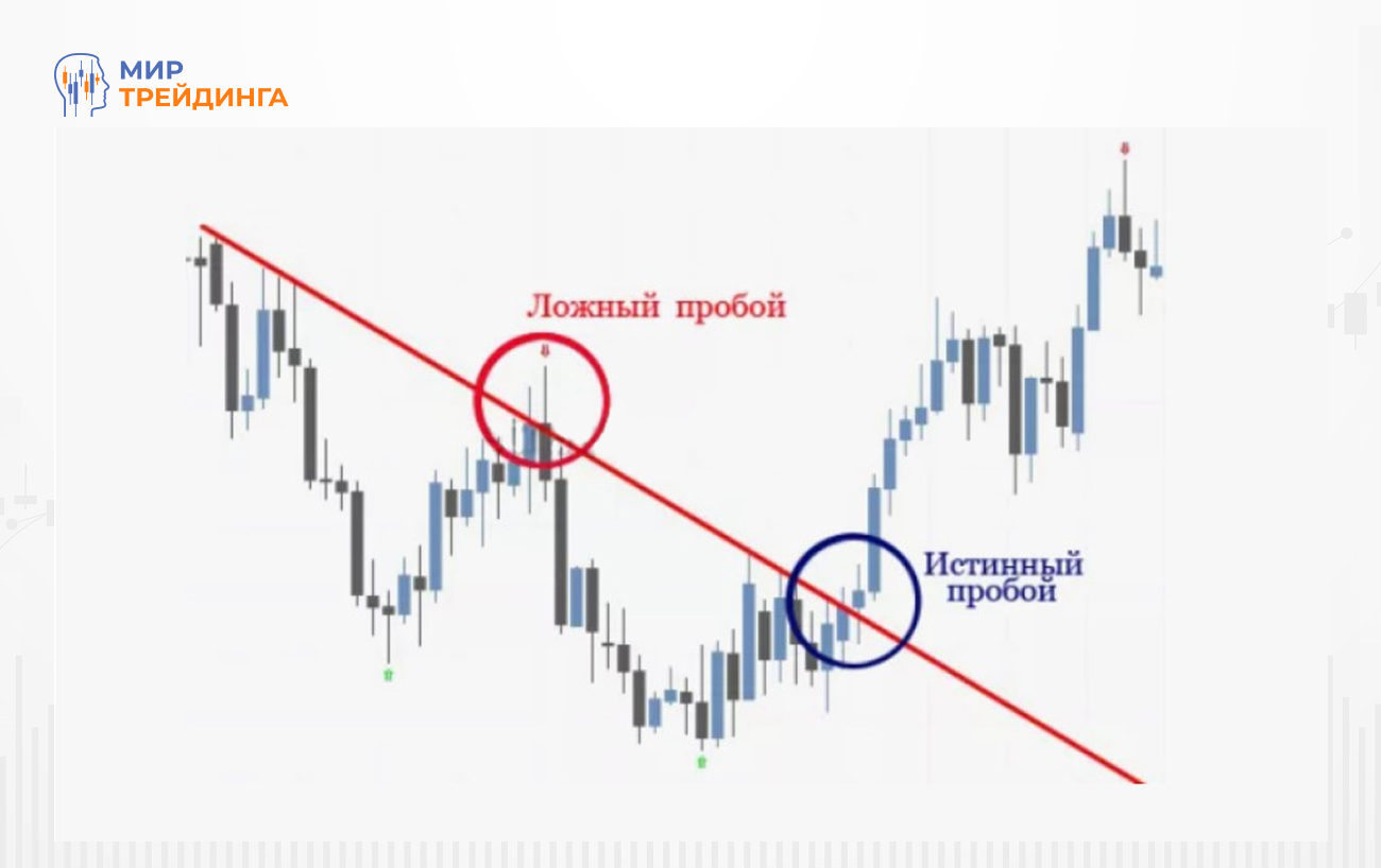 Изображение-1 (17) (1) (1).jpg