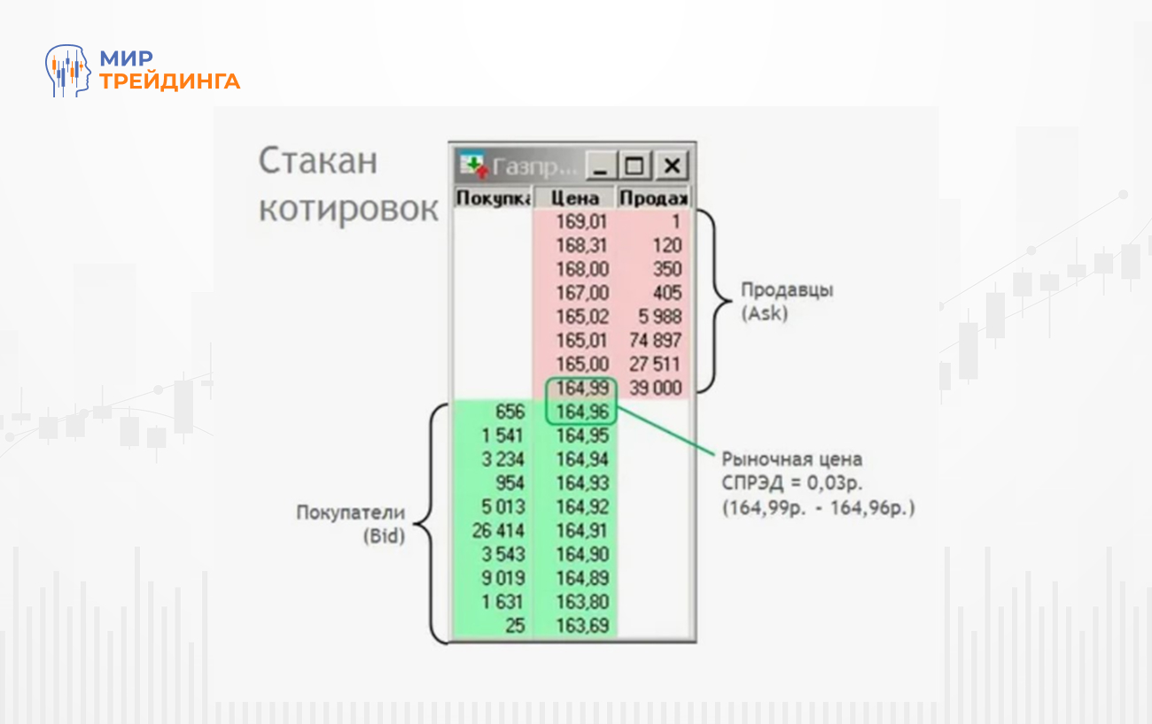 Изображение-1 (20) (1).jpg