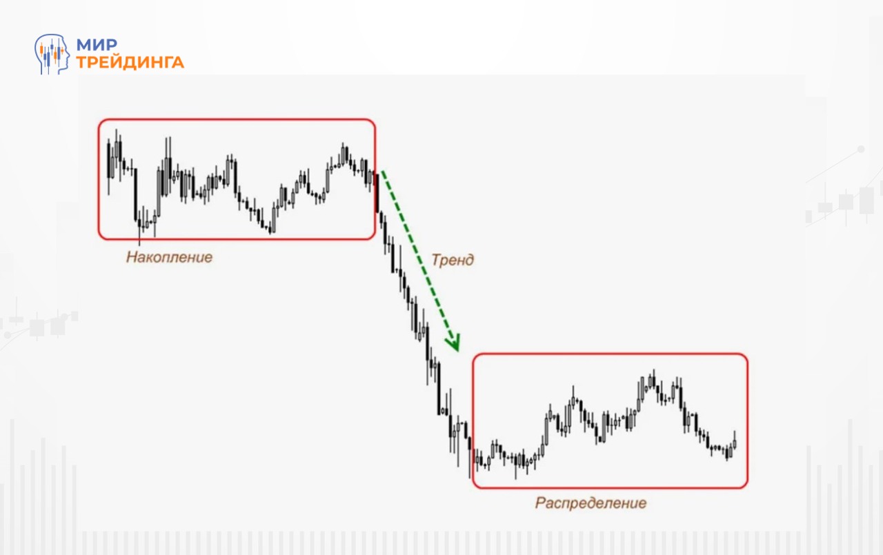 Изображение-1 (10).jpg