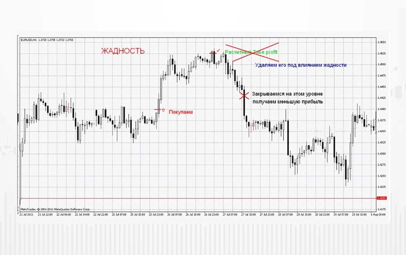 Изображение-2 (1) (1).jpg