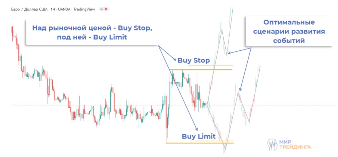 Screenshot_1 (3) (1).jpg