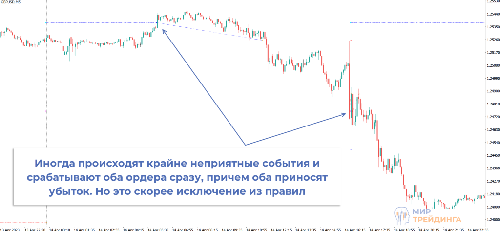 DayHL orders DayHL orders