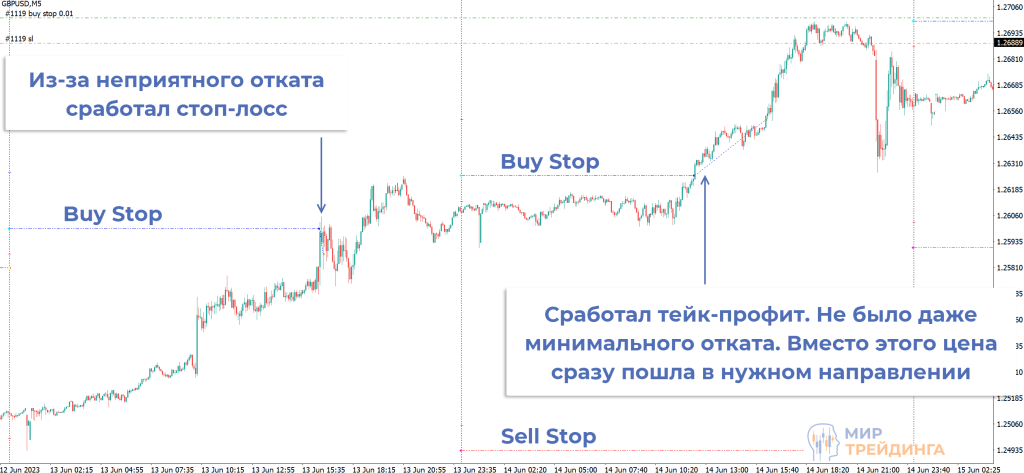 DayHL orders DayHL orders