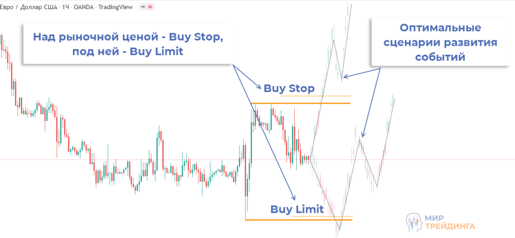 что такое buylimit buystop примеры buylimit buystop