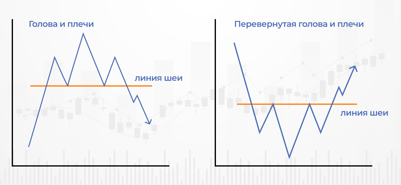 голова и плечи (5) (1).jpg голова и плечи (5) (1).jpg