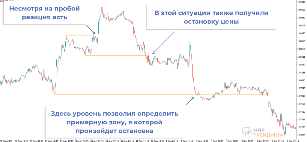 особенности движения рынка особенности движения рынка